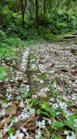 202505富民親水公園:LINE_ALBUM_富民親水公園_250502_4