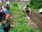 2019食農課程:DSC01222